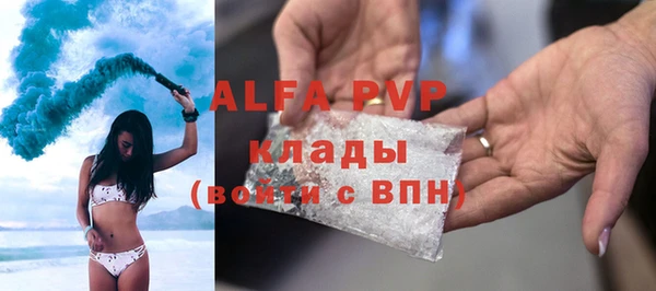 крисы Аркадак