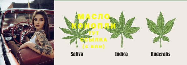 дмт Арсеньев