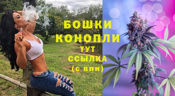 дмт Арсеньев