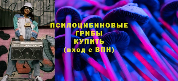 дмт Арсеньев