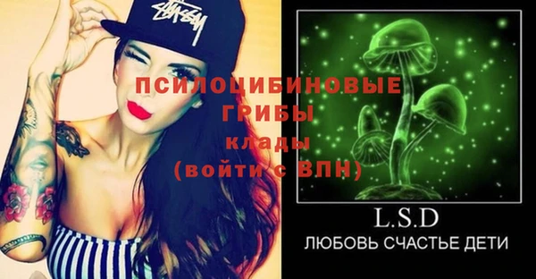 дмт Арсеньев