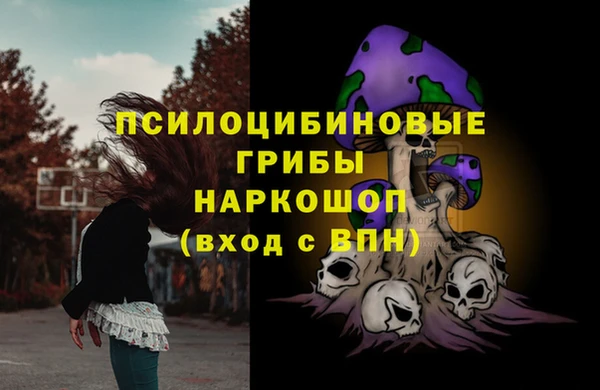 дмт Арсеньев