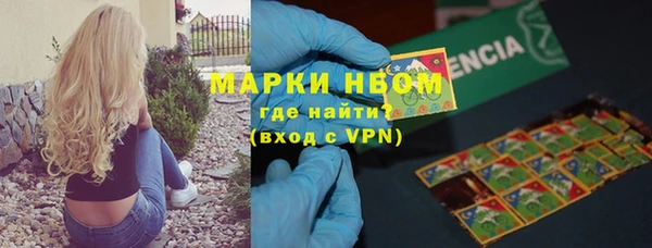 крисы Аркадак