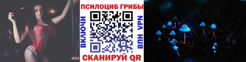 Галлюциногенные грибы Cubensis  Талица 